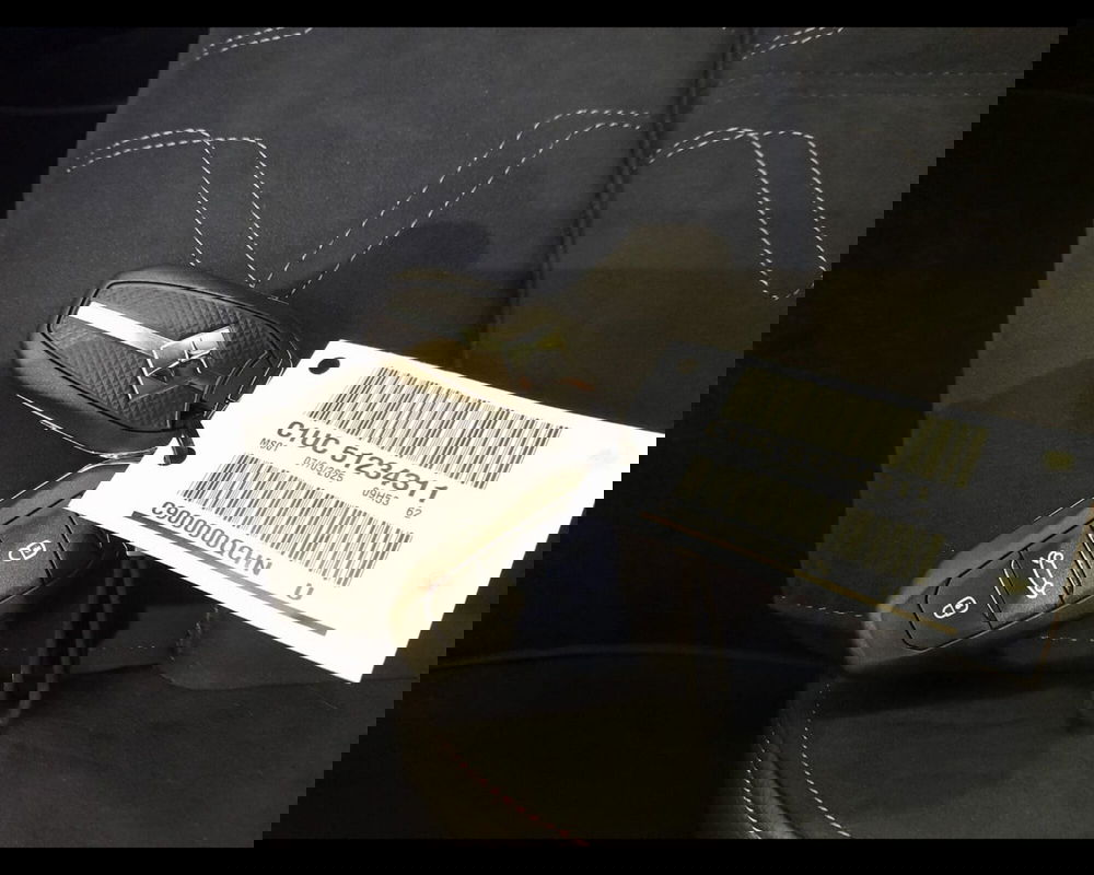 Ds DS 7 nuova a Alessandria (19)