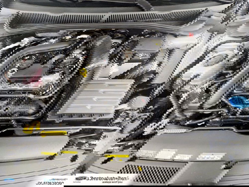 Volkswagen Polo nuova a Roma (12)