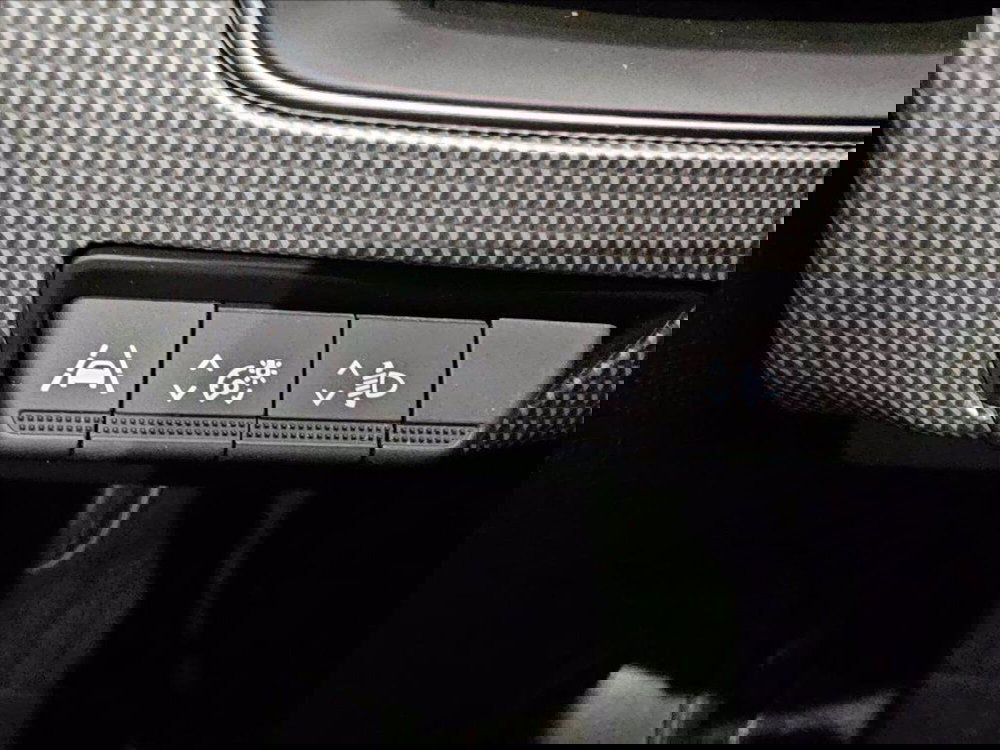 Renault Arkana usata a Palermo (16)