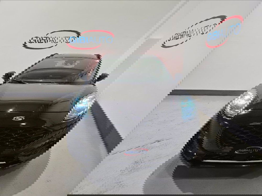 Ford Puma usata a Palermo (2)