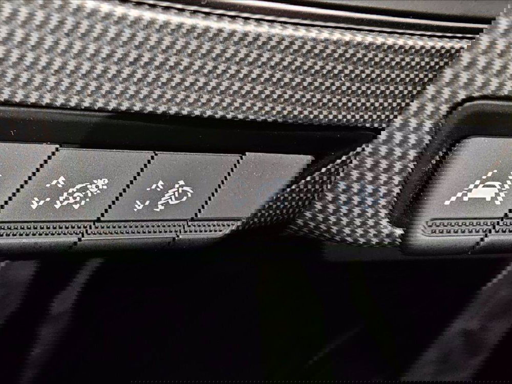 Renault Arkana usata a Palermo (16)