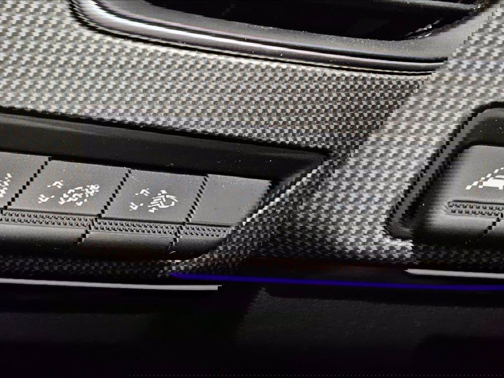 Renault Arkana usata a Palermo (18)