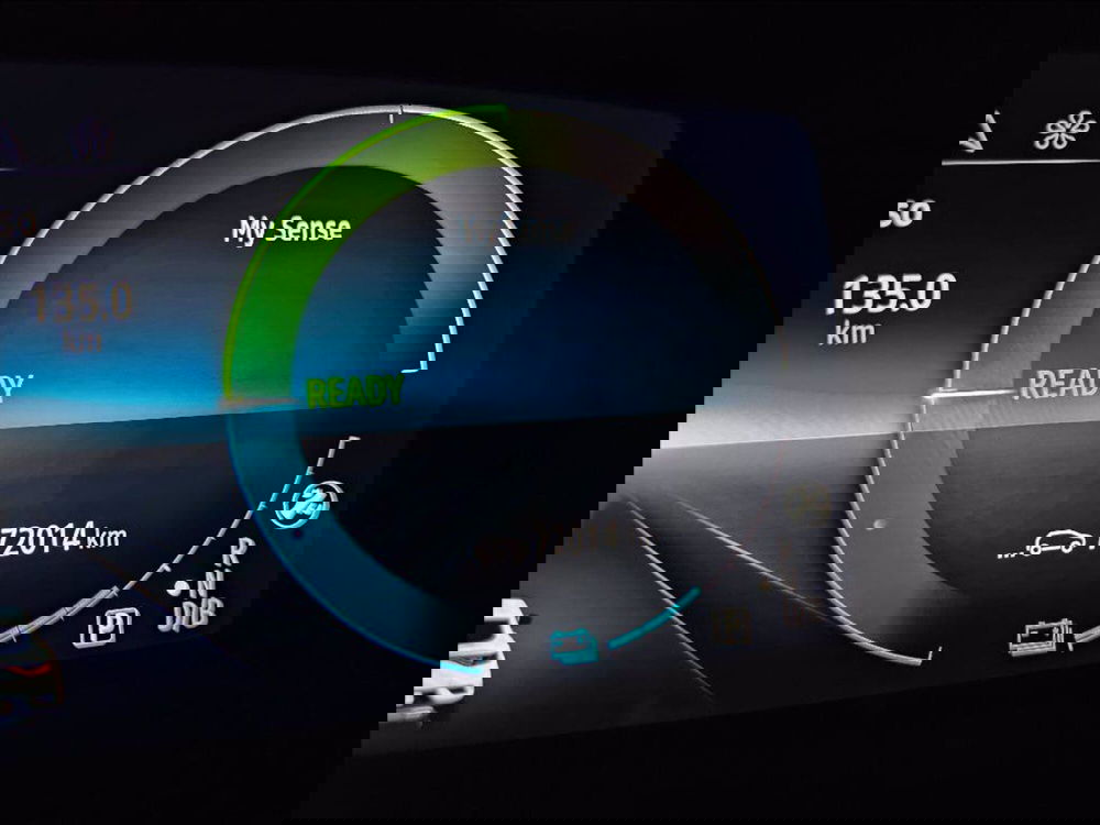 Renault Arkana usata a Palermo (13)