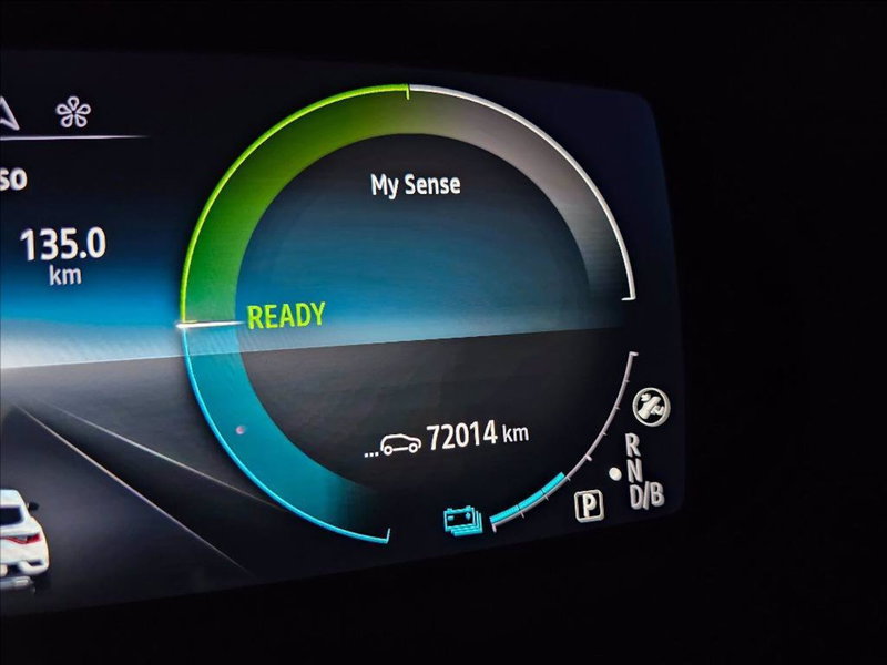 Renault Arkana usata a Palermo (13)