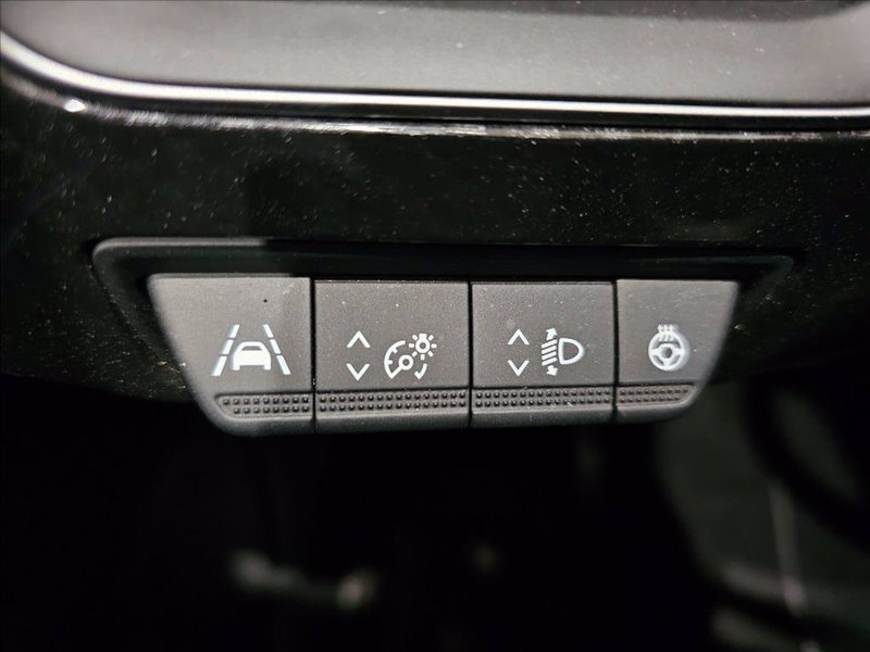 Renault Arkana usata a Palermo (17)