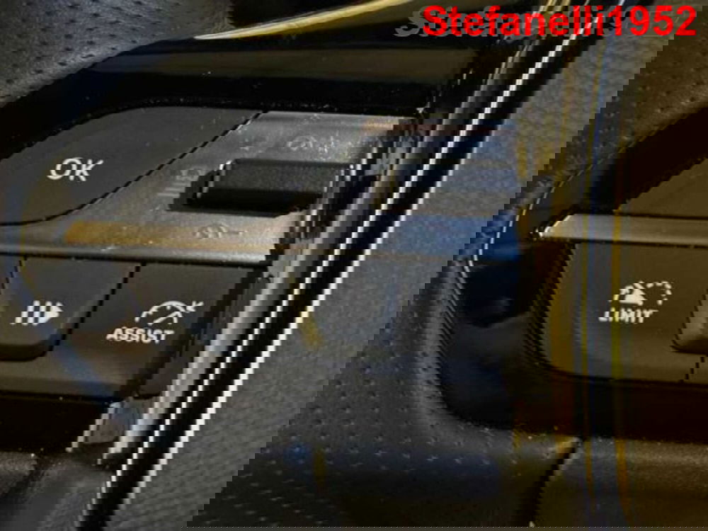 Peugeot 308 SW usata a Bologna (20)