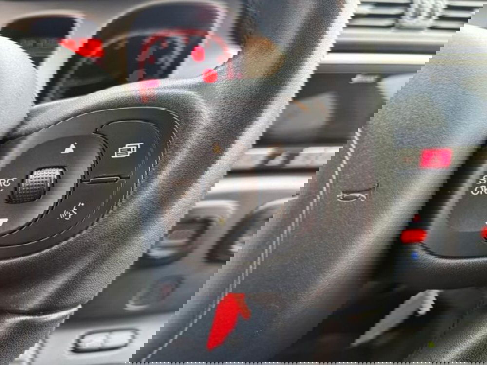 Fiat Panda Cross usata a Cuneo (12)