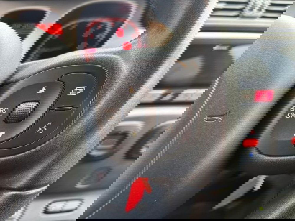 Fiat Panda Cross usata a Cuneo (12)