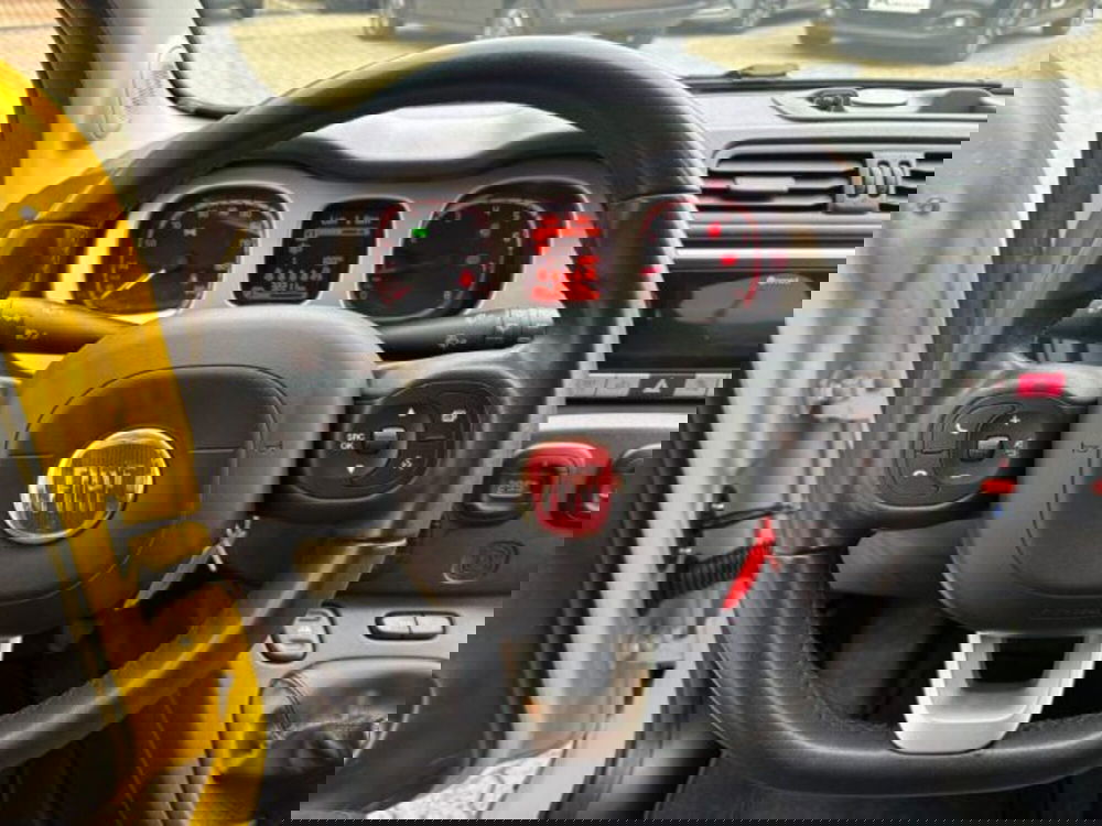 Fiat Panda Cross usata a Cuneo (13)