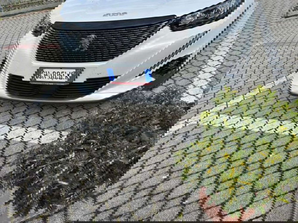 Peugeot 2008 usata a Firenze (19)