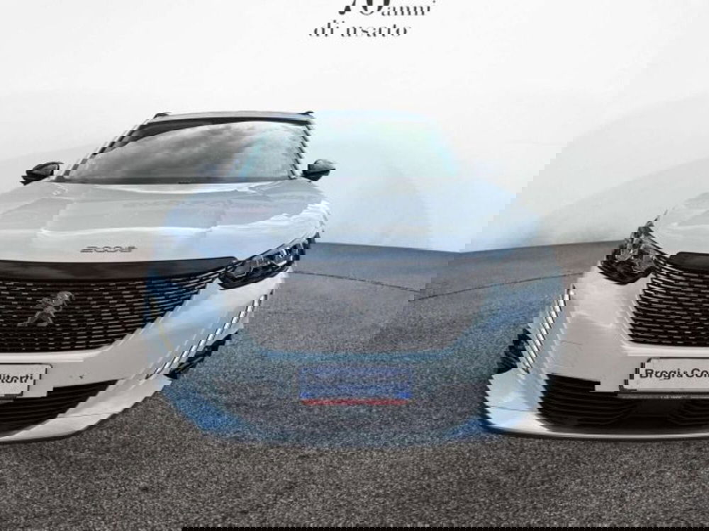 Peugeot 2008 usata a Firenze (2)