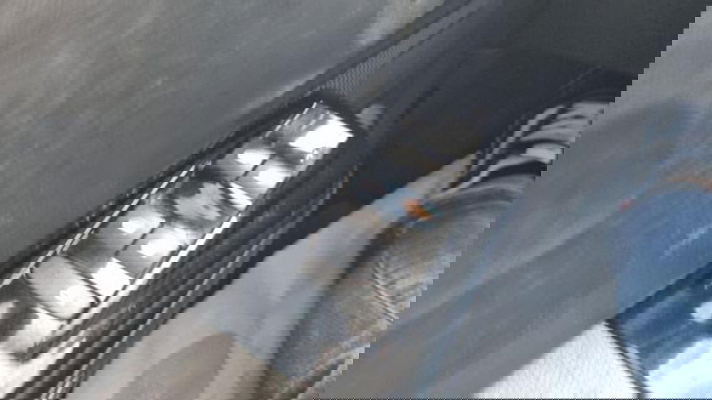 Citroen C3 usata a Savona (7)