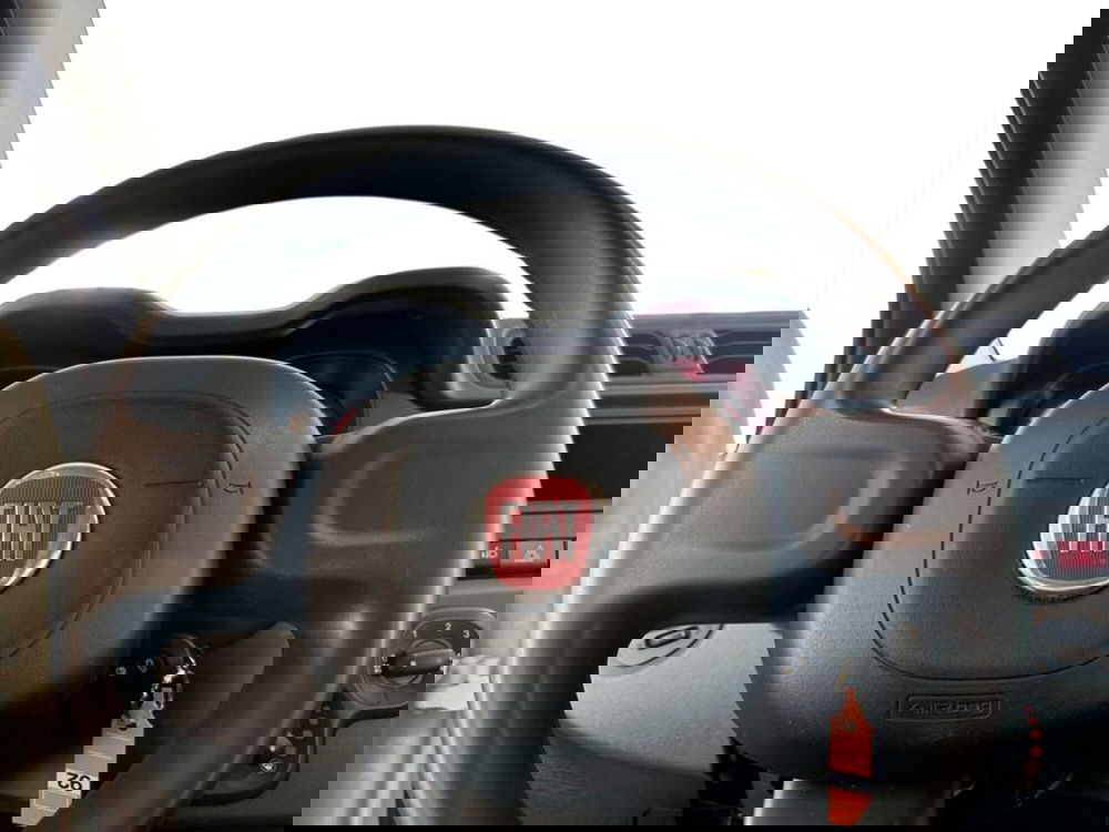 Fiat Panda Cross usata a Piacenza (11)