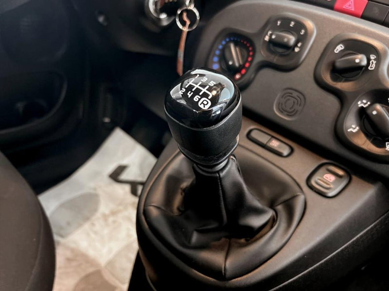 Fiat Panda Cross usata a Piacenza (14)