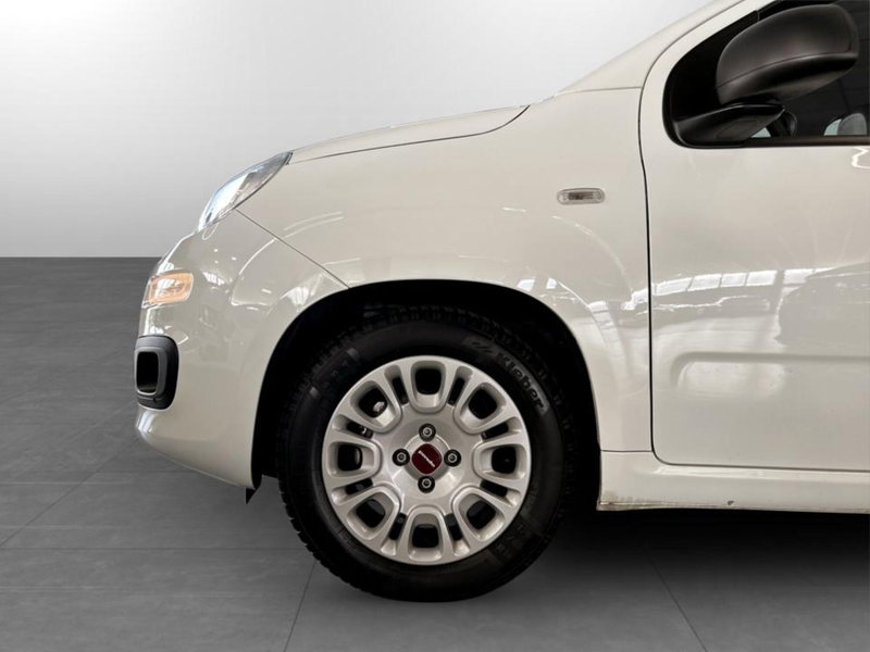 Fiat Panda Cross usata a Piacenza (15)