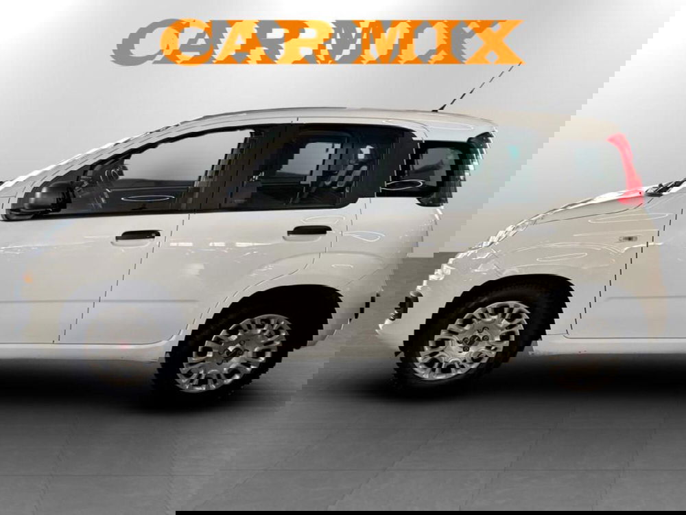 Fiat Panda Cross usata a Piacenza (4)