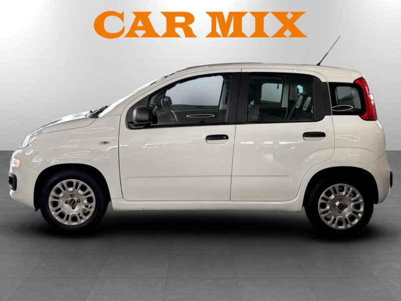 Fiat Panda Cross usata a Piacenza (4)