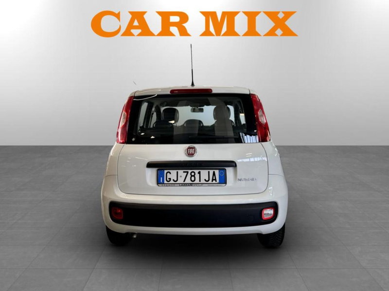 Fiat Panda Cross usata a Piacenza (6)