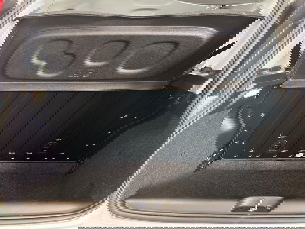 Fiat Panda Cross usata a Piacenza (8)