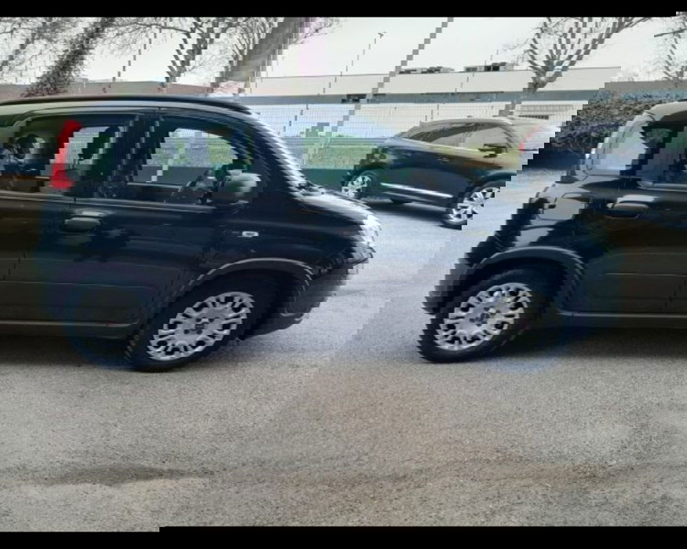Fiat Panda usata a Bologna (15)