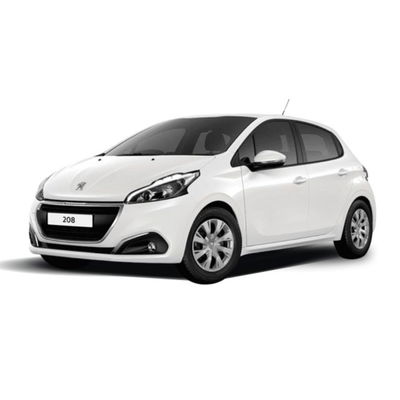 Peugeot 208 BlueHDi 100 Stop&amp;Start 5 porte Active del 2019 usata a Messina