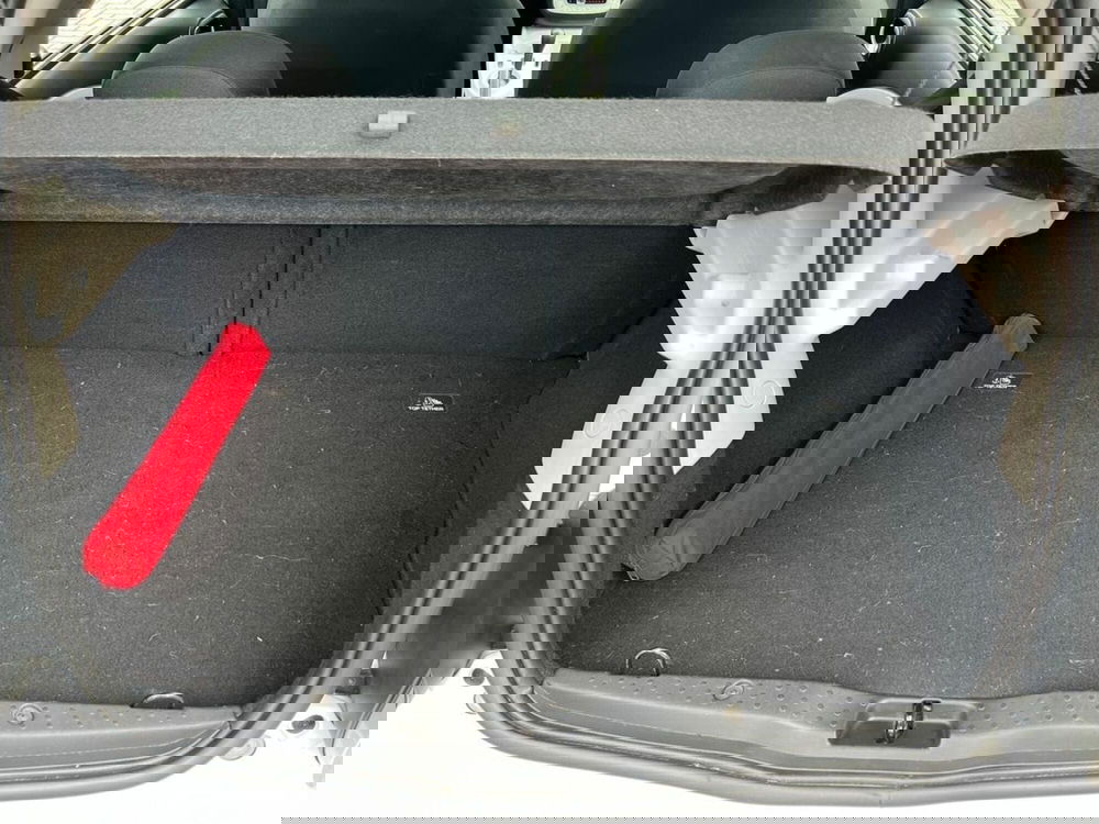 smart forfour usata a Sondrio (12)