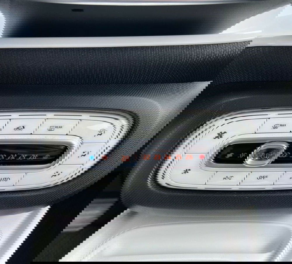 smart forfour usata a Sondrio (13)