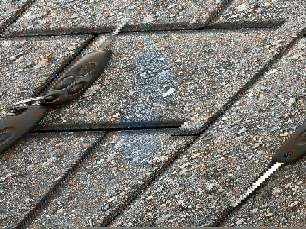 smart forfour usata a Sondrio (15)