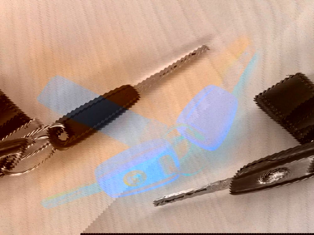 Fiat Doblò usata a Sondrio (16)