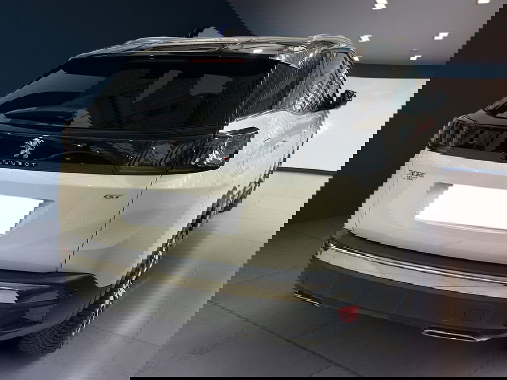 Peugeot 3008 usata a Torino (4)