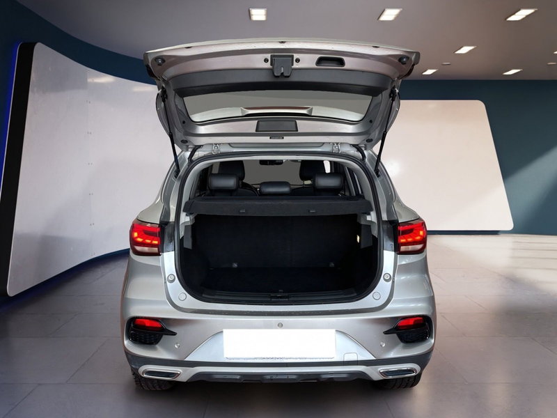 Mg ZS usata a Torino (8)