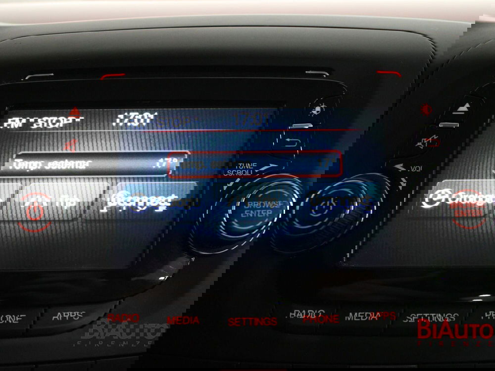 Fiat 500L usata a Firenze (13)