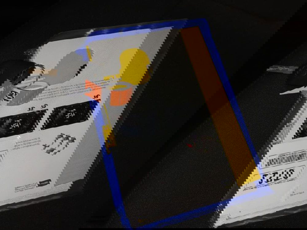 Fiat Pandina usata a Genova (20)