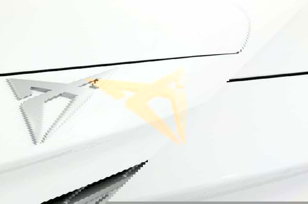 Cupra Leon usata a Mantova (10)