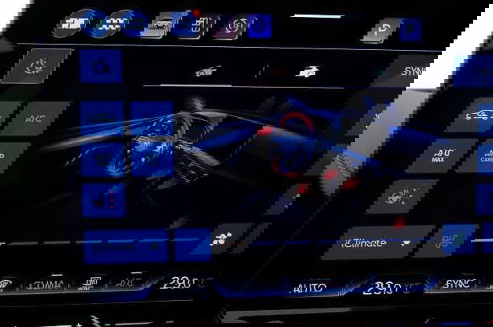 Cupra Leon usata a Mantova (18)