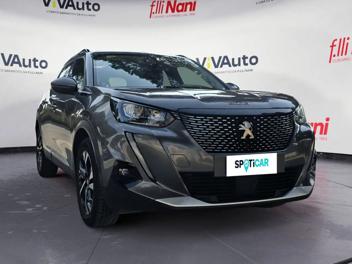Peugeot 2008 usata a Massa-Carrara (16)