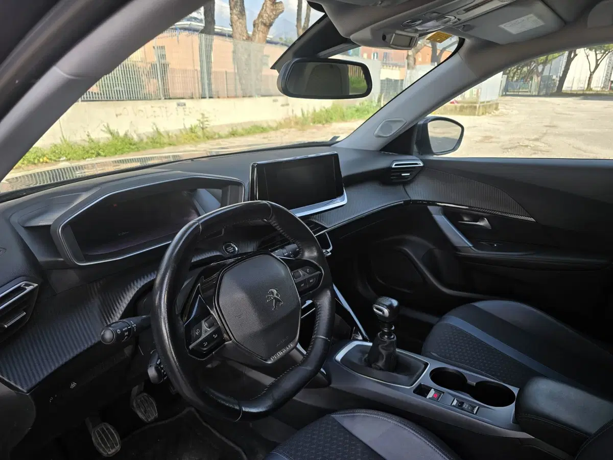 Peugeot 2008 usata a Massa-Carrara (20)