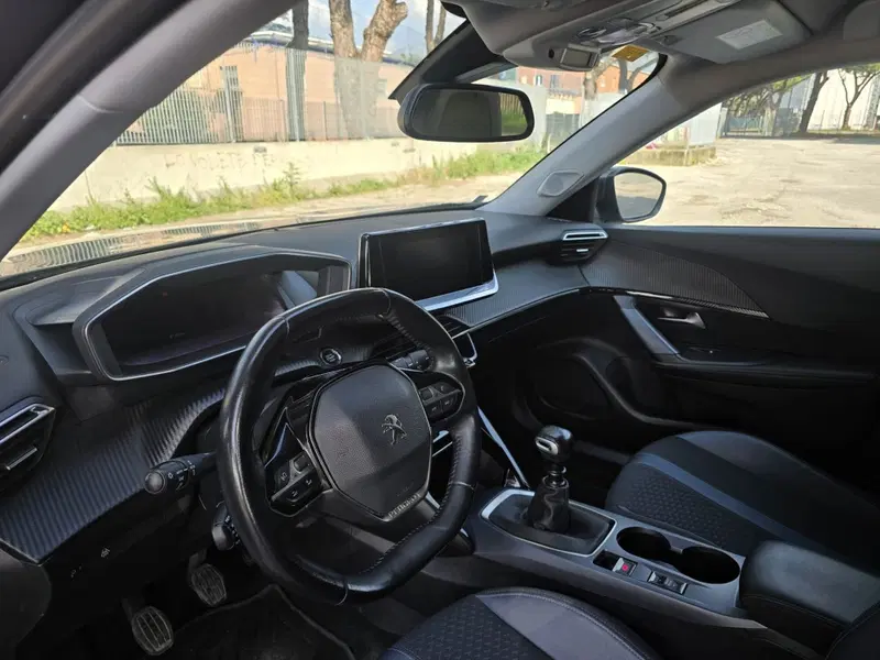 Peugeot 2008 usata a Massa-Carrara (20)