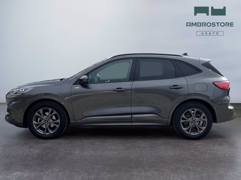 Ford Kuga usata a Milano (2)