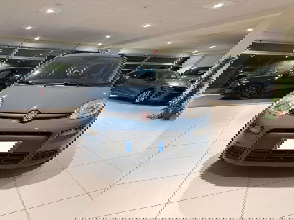 Fiat Panda usata a Savona (3)