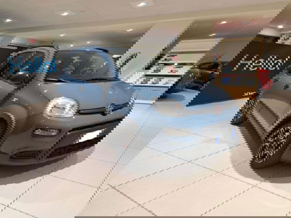 Fiat Panda usata a Savona (4)