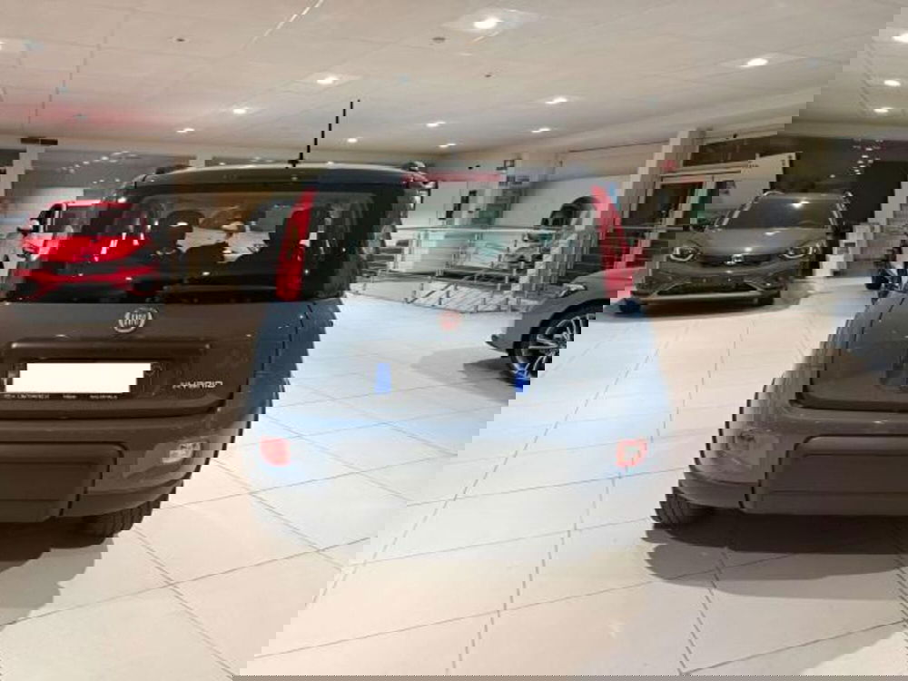 Fiat Panda usata a Savona (7)