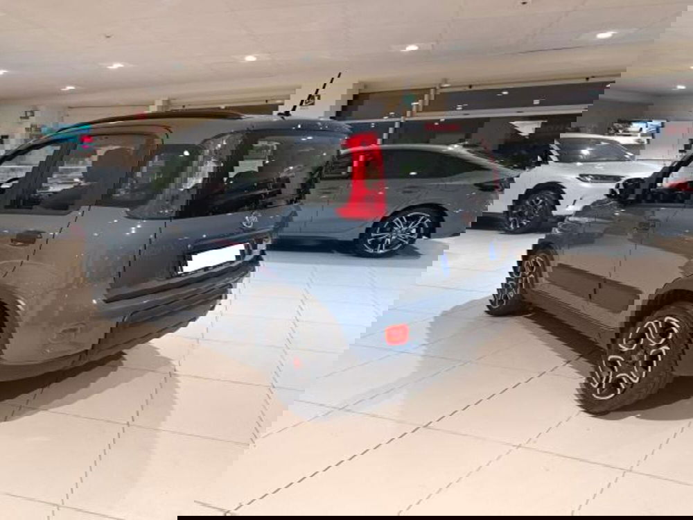 Fiat Panda usata a Savona (8)