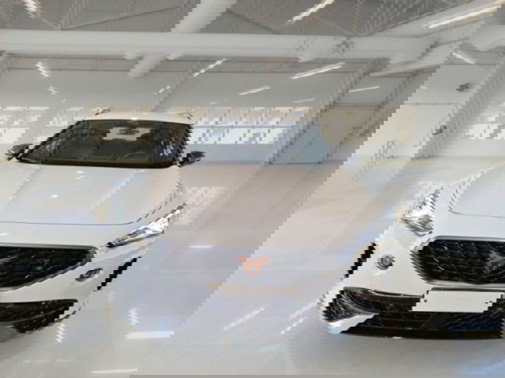 Cupra Formentor usata a Catania (5)