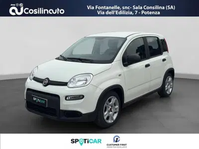 Fiat Panda 1.0 firefly hybrid s&amp;s 70cv 5p.ti del 2024 usata a Sala Consilina