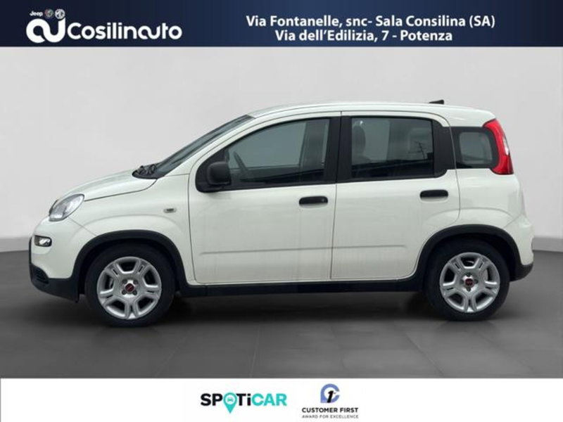 Fiat Panda usata a Salerno (2)