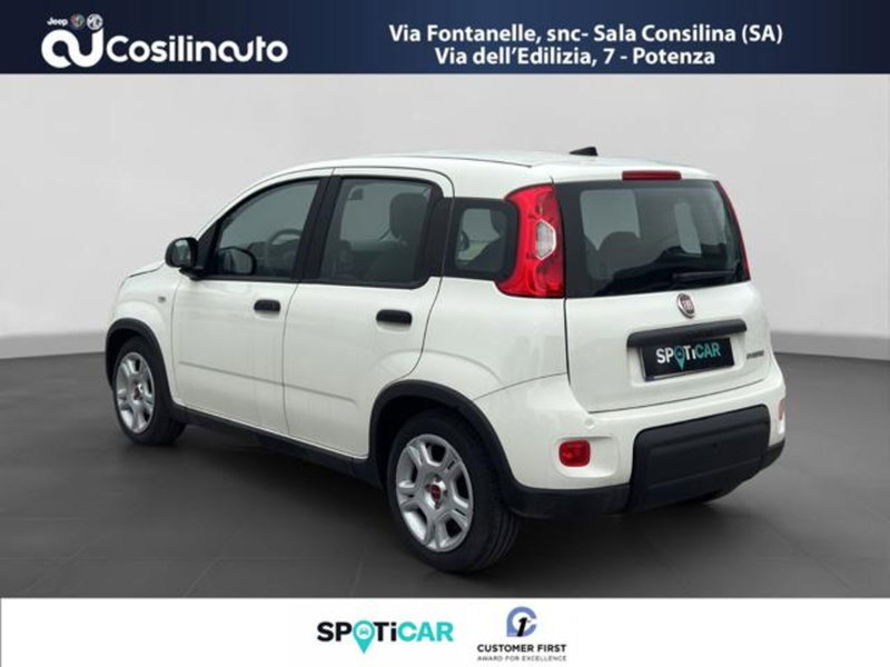Fiat Panda usata a Salerno (3)