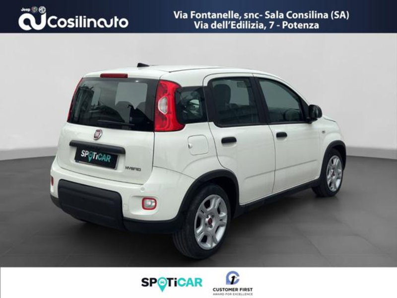 Fiat Panda usata a Salerno (5)