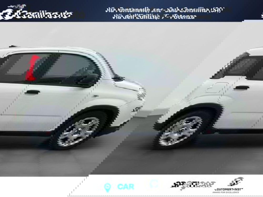 Fiat Panda usata a Salerno (6)