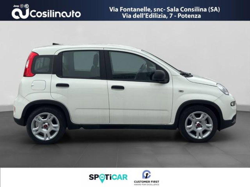 Fiat Panda usata a Salerno (6)